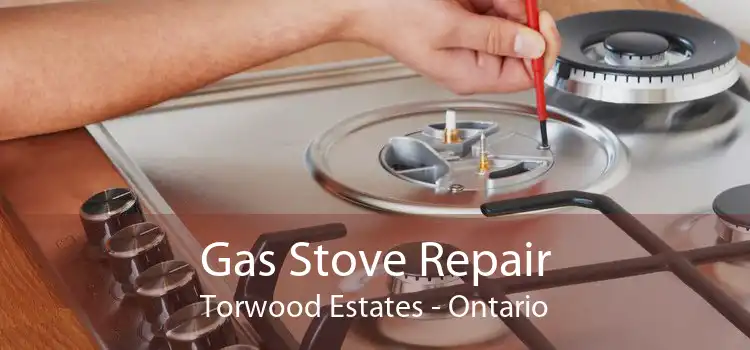 Gas Stove Repair Torwood Estates - Ontario