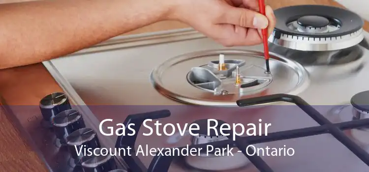 Gas Stove Repair Viscount Alexander Park - Ontario