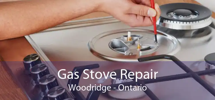 Gas Stove Repair Woodridge - Ontario