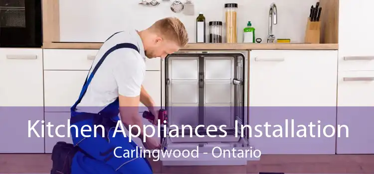 Kitchen Appliances Installation Carlingwood - Ontario