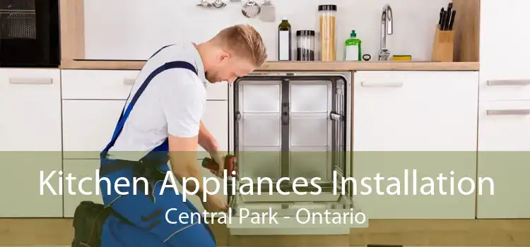 Kitchen Appliances Installation Central Park - Ontario
