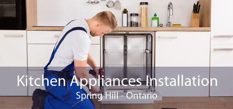 Kitchen Appliances Installation Spring Hill - Ontario