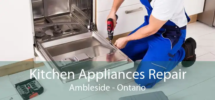 Kitchen Appliances Repair Ambleside - Ontario