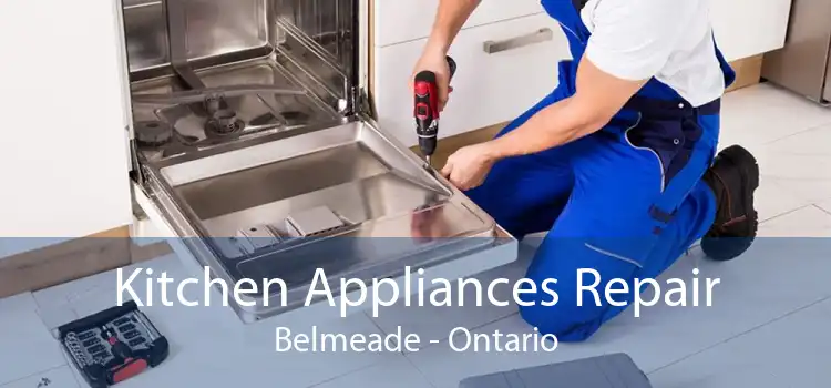 Kitchen Appliances Repair Belmeade - Ontario