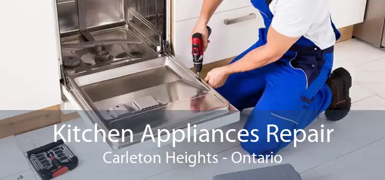 Kitchen Appliances Repair Carleton Heights - Ontario