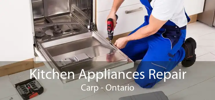 Kitchen Appliances Repair Carp - Ontario
