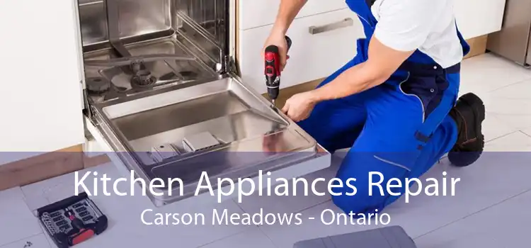 Kitchen Appliances Repair Carson Meadows - Ontario