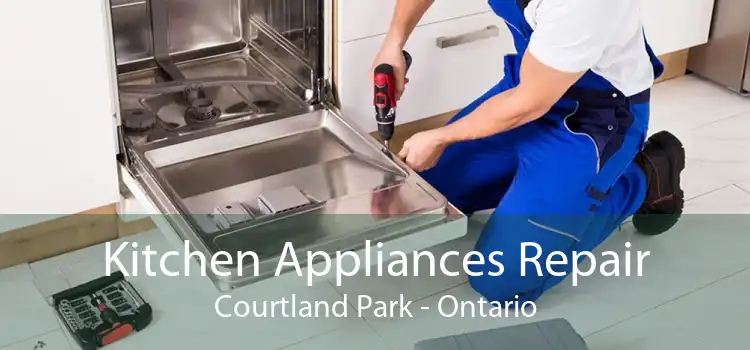 Kitchen Appliances Repair Courtland Park - Ontario