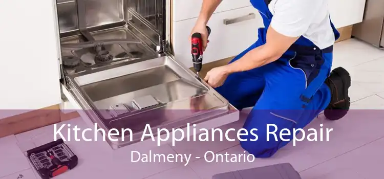 Kitchen Appliances Repair Dalmeny - Ontario