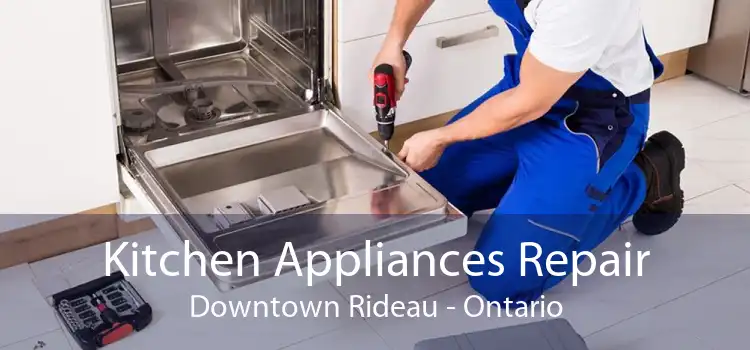 Kitchen Appliances Repair Downtown Rideau - Ontario