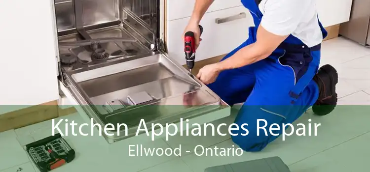 Kitchen Appliances Repair Ellwood - Ontario