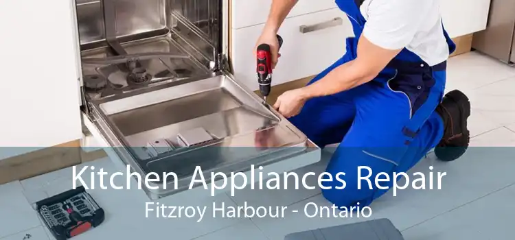 Kitchen Appliances Repair Fitzroy Harbour - Ontario