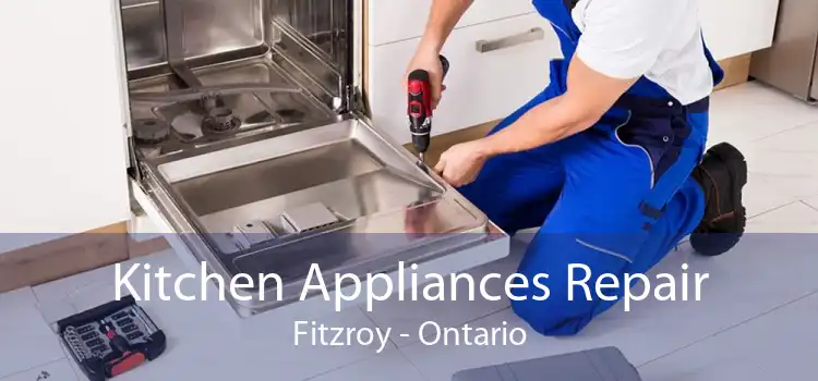 Kitchen Appliances Repair Fitzroy - Ontario