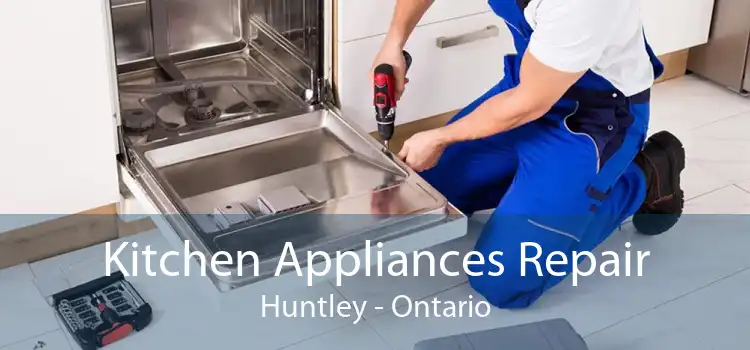 Kitchen Appliances Repair Huntley - Ontario