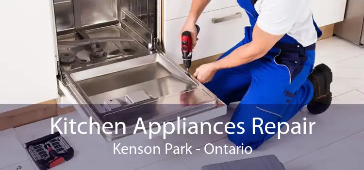 Kitchen Appliances Repair Kenson Park - Ontario