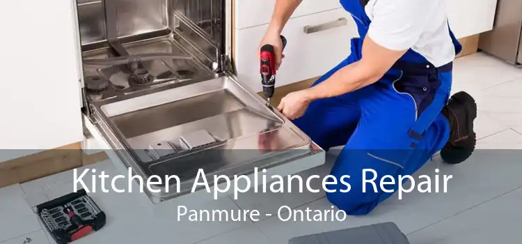Kitchen Appliances Repair Panmure - Ontario