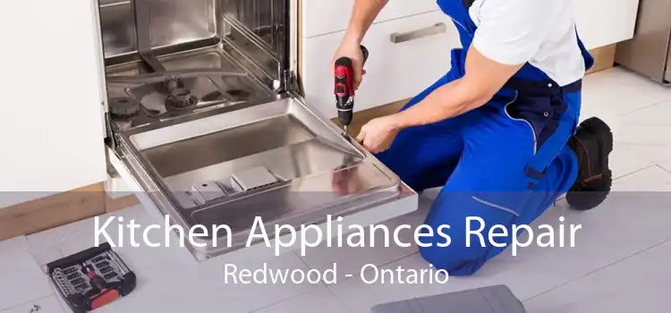 Kitchen Appliances Repair Redwood - Ontario
