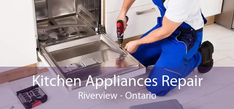 Kitchen Appliances Repair Riverview - Ontario