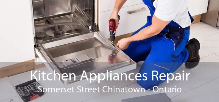 Kitchen Appliances Repair Somerset Street Chinatown - Ontario