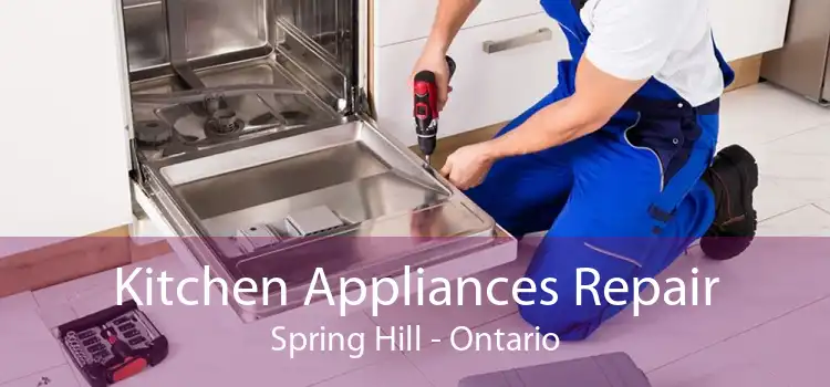 Kitchen Appliances Repair Spring Hill - Ontario