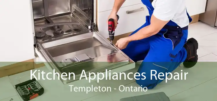 Kitchen Appliances Repair Templeton - Ontario
