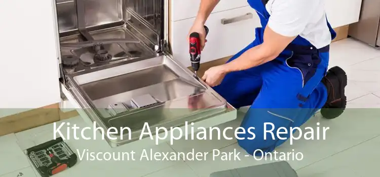 Kitchen Appliances Repair Viscount Alexander Park - Ontario