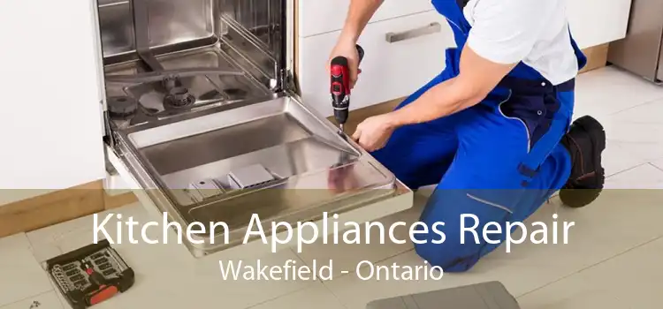 Kitchen Appliances Repair Wakefield - Ontario