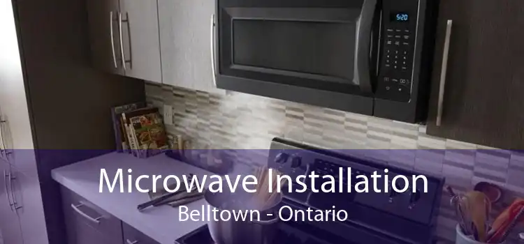 Microwave Installation Belltown - Ontario