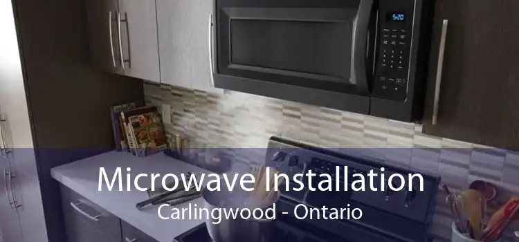 Microwave Installation Carlingwood - Ontario
