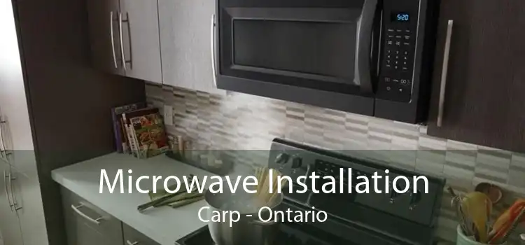 Microwave Installation Carp - Ontario