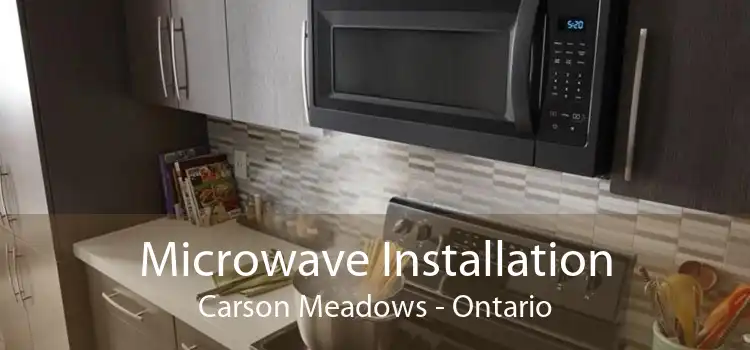 Microwave Installation Carson Meadows - Ontario