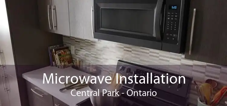 Microwave Installation Central Park - Ontario