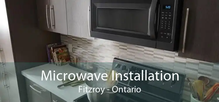 Microwave Installation Fitzroy - Ontario