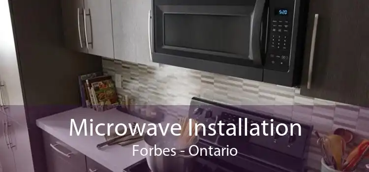Microwave Installation Forbes - Ontario