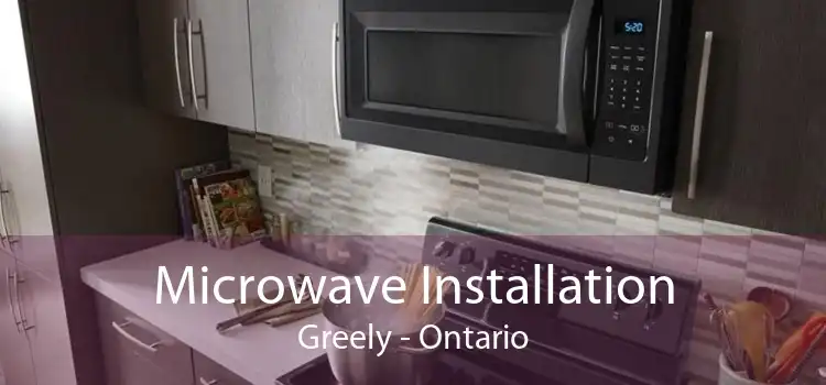 Microwave Installation Greely - Ontario