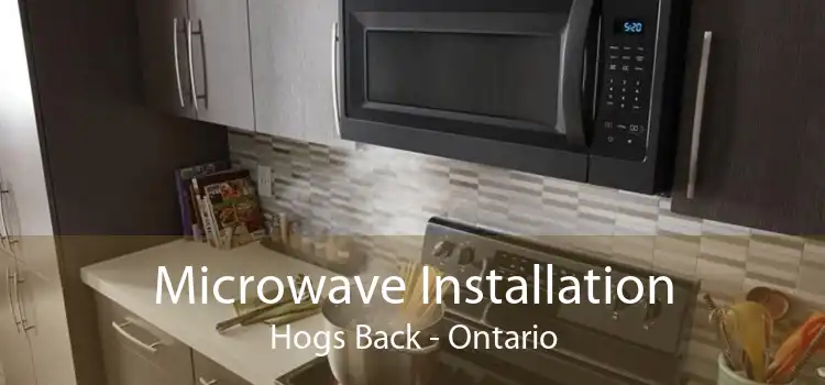 Microwave Installation Hogs Back - Ontario