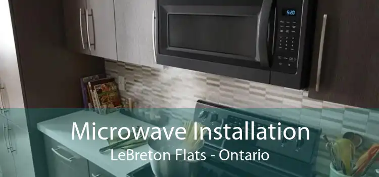 Microwave Installation LeBreton Flats - Ontario