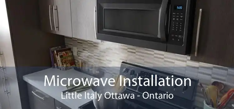 Microwave Installation Little Italy Ottawa - Ontario