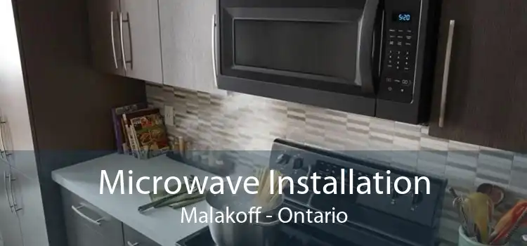 Microwave Installation Malakoff - Ontario