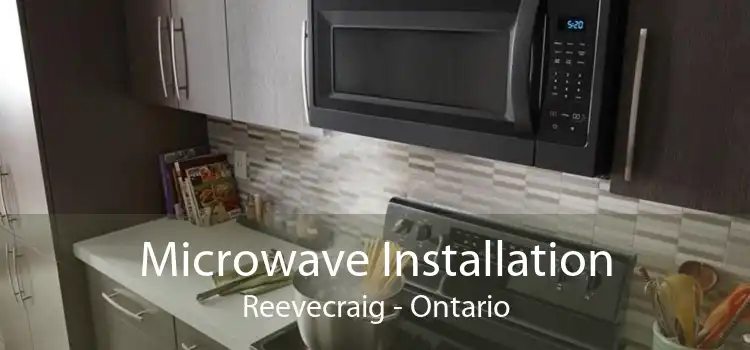 Microwave Installation Reevecraig - Ontario