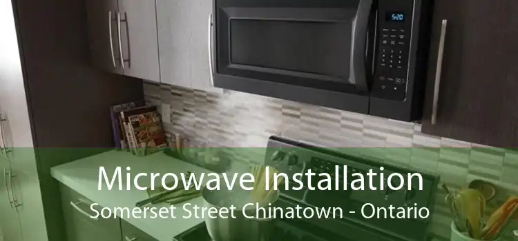Microwave Installation Somerset Street Chinatown - Ontario