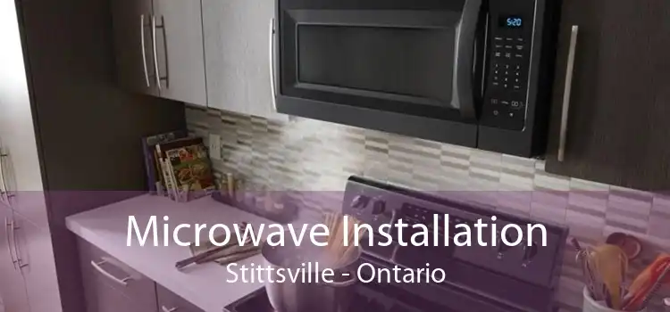 Microwave Installation Stittsville - Ontario