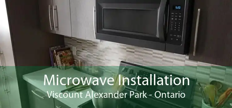 Microwave Installation Viscount Alexander Park - Ontario