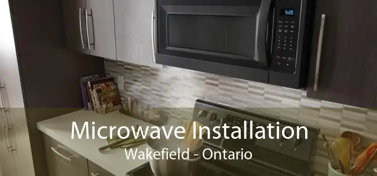 Microwave Installation Wakefield - Ontario