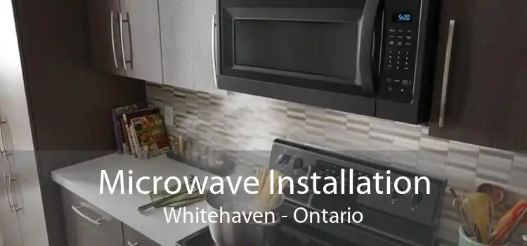 Microwave Installation Whitehaven - Ontario