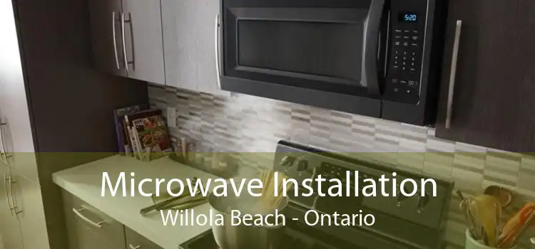 Microwave Installation Willola Beach - Ontario