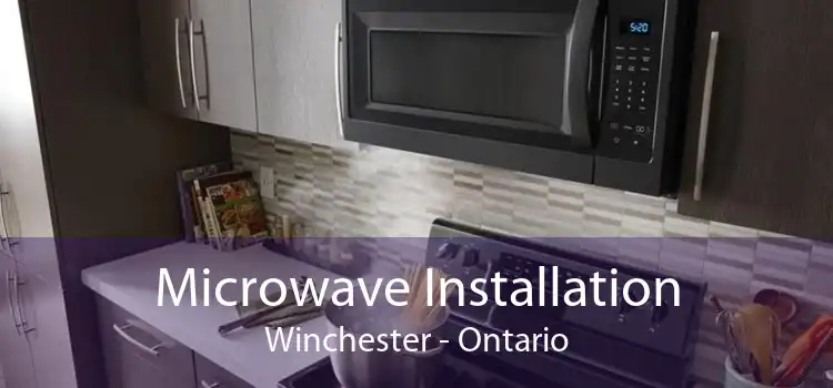Microwave Installation Winchester - Ontario