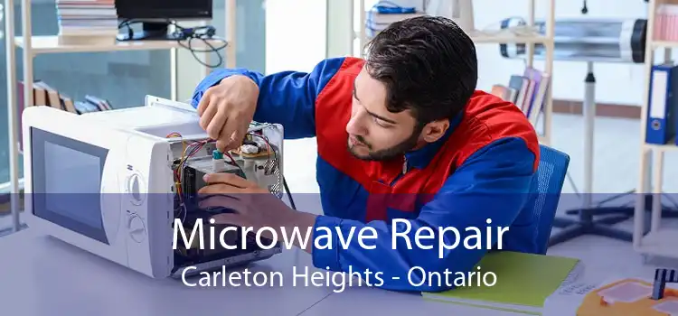 Microwave Repair Carleton Heights - Ontario