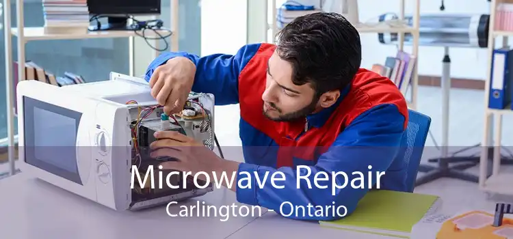 Microwave Repair Carlington - Ontario