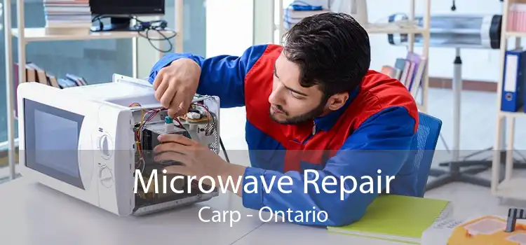 Microwave Repair Carp - Ontario